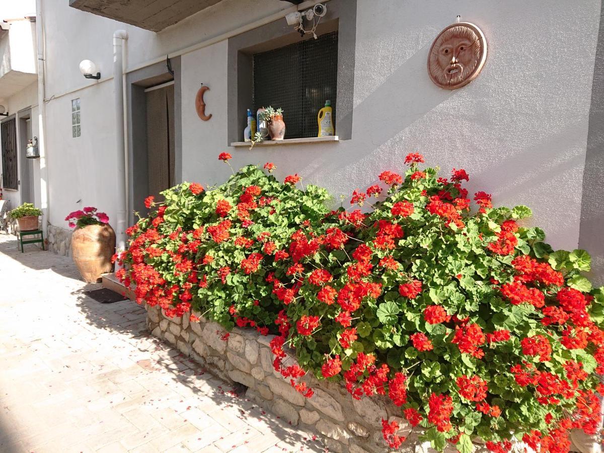 La Quiete Βίλα Montenero di Bisaccia Εξωτερικό φωτογραφία