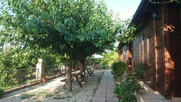 La Quiete Βίλα Montenero di Bisaccia Εξωτερικό φωτογραφία